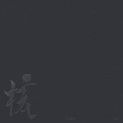 �yVINYL -XG ver.-�zTHE CORE -�j(VINYL)