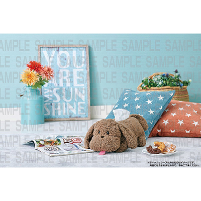 [!!! on ICE@}bJ` eBbVP[X