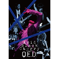 Acid Black Cherry 2009 tour 