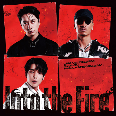 Into the Fire(CD)