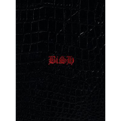 stereo futurey񐶎YՁziSINGLE+ALBUM+Blu-rayj