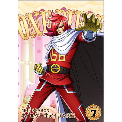 ONE PIECE s[X 19THV[Y z[P[LACh piece.7iDVDj