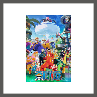 ONE PIECE s[X 21STV[Y GbOwbh piece.13@DVD