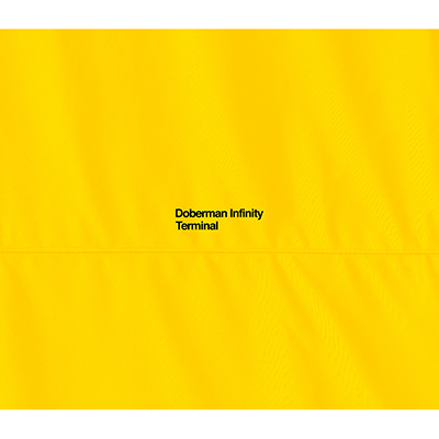 TERMINAL【初回盤】（CD+2DVD）