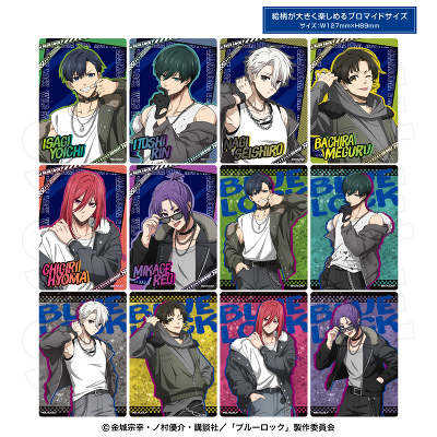 TR�r�b�O�N���A�J�[�h(�S12��)_�P�i