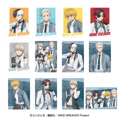 TR�r�b�O�N���A�J�[�h(�S12��)_BOX