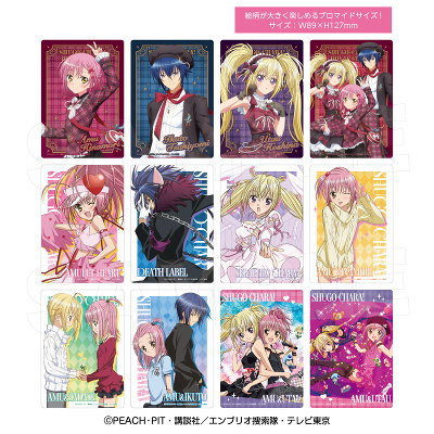 �w���C�����`�F�b�N�xTR�r�b�O�N���A�J�[�h(�S12��)_BOX