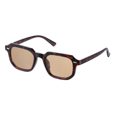 un �T���O���X �u���E��