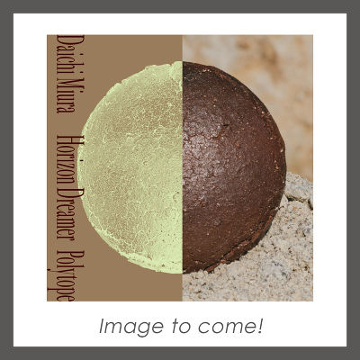 �y���񐶎Y����ՁzHorizon Dreamer / Polytope(Vinyl)