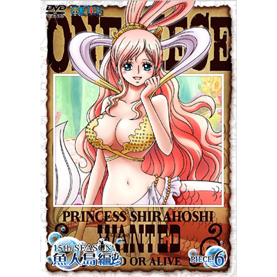 ONE PIECE s[X 15thV[Y l piece.6