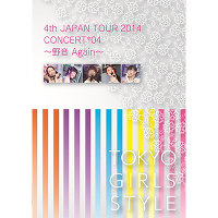4th JAPAN TOUR 2014 CONCERT*04 ～野音 Again～（2DVD）