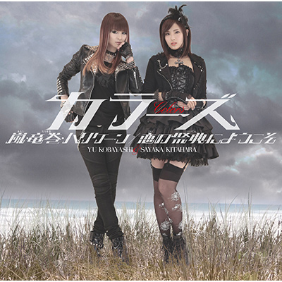 EEnP[ / ̍ՓTɂ悤iCD+DVDj