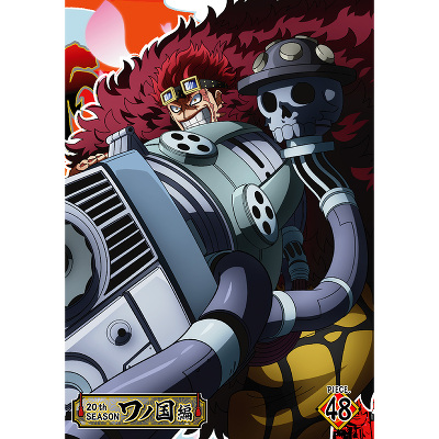 ONE PIECE �����s�[�X 20TH�V�[�Y�� ���m���� piece.48�@DVD