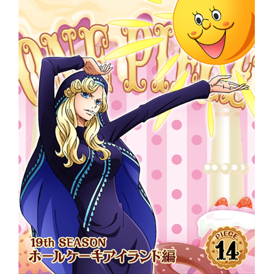 ONE PIECE s[X 19THV[Y z[P[LACh piece.14iBlu-rayj