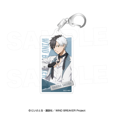 �A�N�����L�[�z���_�[_�� �y