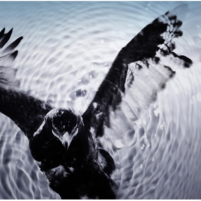 Reverb�yCD+DVD�z