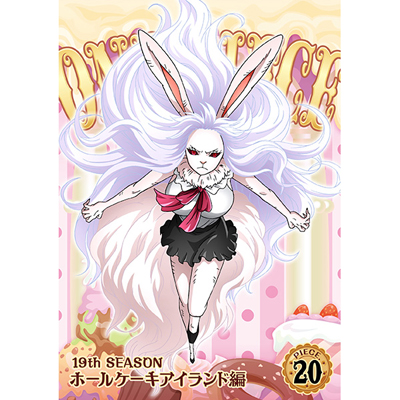 ONE PIECE s[X 19THV[Y z[P[LACh piece.20iDVDj