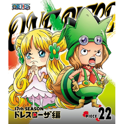 ONE PIECE s[X 17THV[Y hX[U piece.22iBlu-rayj