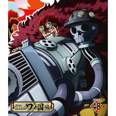 ONE PIECE s[X 20THV[Y m piece.48@BD