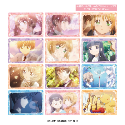 TR�r�b�O�N���A�J�[�h(�S12��)_�P�i