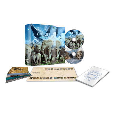 Ct -̂Ȃ-@yv~AEGfBVz@