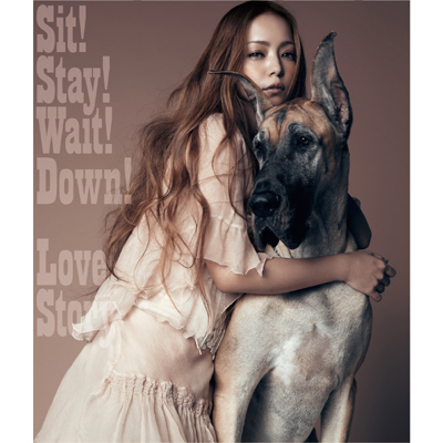 Sit!Stay!Wait!Down! /Love Story（CD）