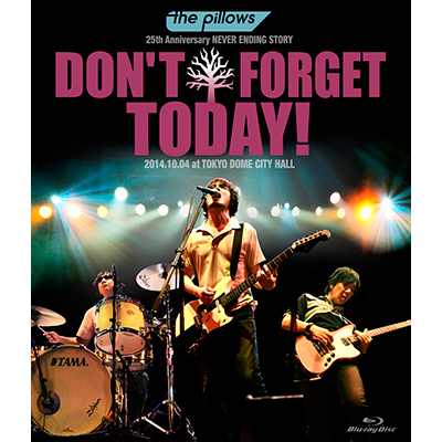 the pillows 25th Anniversary NEVER ENDING STORY “DON'T FORGET TODAY!”2014.10.04 at TOKYO DOME CITY HALL（Blu-ray）