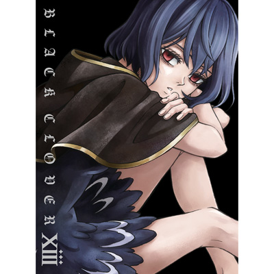 ubNN[o[@Chapter XIII@DVD