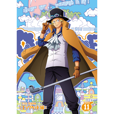 ONE PIECE s[X 21STV[Y GbOwbh piece.11@DVD