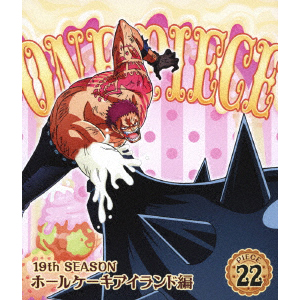 ONE PIECE s[X 19THV[Y z[P[LACh piece.22iBlu-rayj