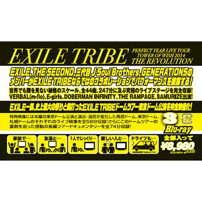 EXILE TRIBE PERFECT YEAR LIVE TOUR TOWER OF WISH 2014 ～THE 