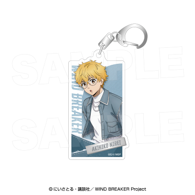 �A�N�����L�[�z���_�[_���� �H�F