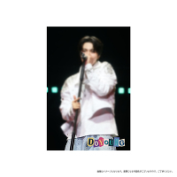 |XgJ[hAiDOYOUNGj