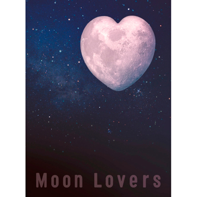 月の恋人～Moon Lovers～　通常版DVD-BOX