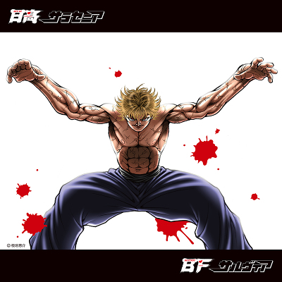 �A�j���u�͔n�n��v�n��ŋ��̐e�q���ܕ� OP / ED�e�[�} �uSarracenia / Salvia�v(CD+Blu-ray)