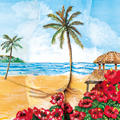 V̖؂̂悤 / J[oG[V / NƂ̉āiCD̂݁j