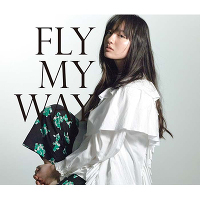 FLY MY WAY / Soul Full of MusiciCDj