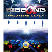 BIGBANG JAPAN DOME TOUR 2013～2014【通常盤】（2枚組Blu-ray）