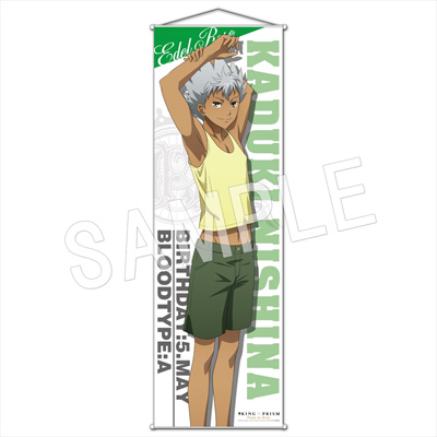 KING OF PRISM -PRIDE the HERO- ^yXg[ mȃJdL