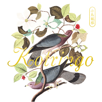 小鳥観察 Kotringo Best（2枚組CD）