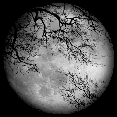 LUNA SEA �yCD+DVD�z