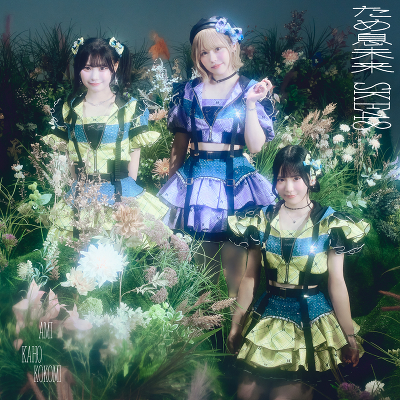 �y���񐶎Y����Ձz���ߑ����� (CD+DVD)��Type-C��