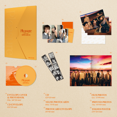 y؍ՁzTREASURE SPECIAL MINI ALBUM [PLEASURE] [YELLOW VER.]