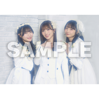 �A�R�[�X�e�B�b�N���C�u�J�ËL�O  ���ʐ^�Z�b�g �O���[�v�V���b�g B