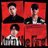 Into the Fire(CD)