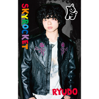 �s���񐶎Y����tSKYROCKET�yRYUDO Ver.�z(MUSIC CARD)