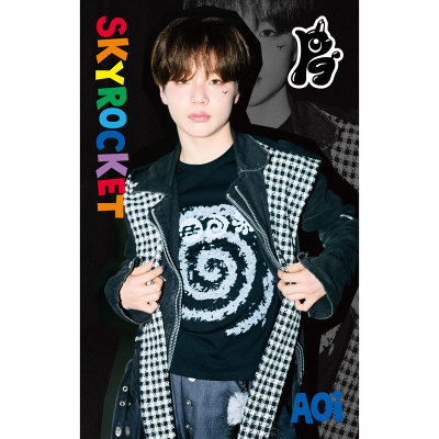 �s���񐶎Y����tSKYROCKET�yAOi Ver.�z(MUSIC CARD)