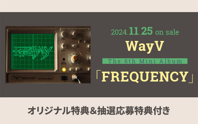 11/25 WayV 輸入盤miniAL