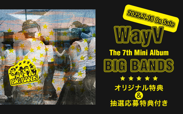7/18 WayV 輸入盤AL